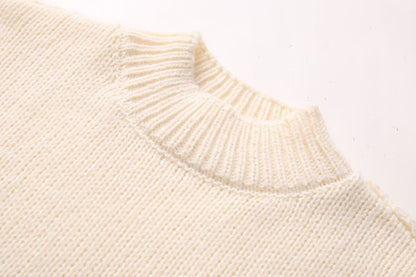 Women's Sweater Long Sleeve Sweaters & Cardigans Elegant Simple Style Solid Color