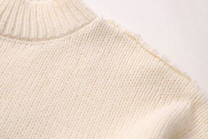 Women's Sweater Long Sleeve Sweaters & Cardigans Elegant Simple Style Solid Color