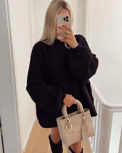 Women's Sweater Long Sleeve Sweaters & Cardigans Elegant Simple Style Solid Color