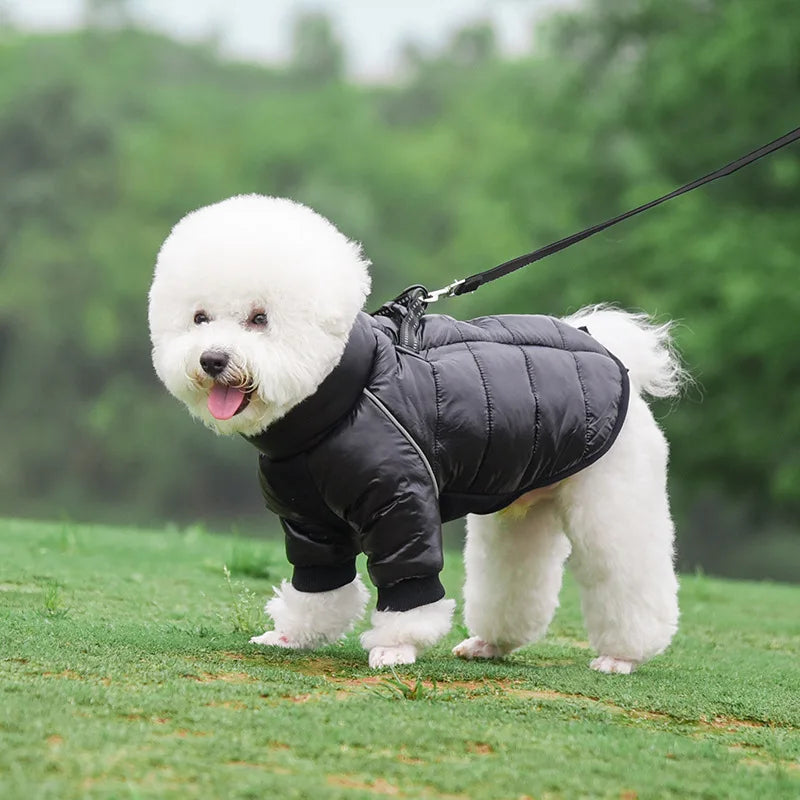 Winter Dog Down Jacket Waterproof Dog Clothes for Small Dogs Build-in Collar Puppy Jumpsuit Reflective Pet Coat French Bulldog