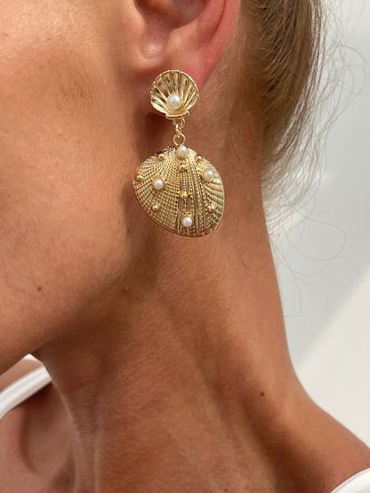 Seashell Shape Earrings Accessories