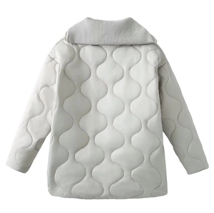 Women's Simple Style Classic Style Solid Color Zipper Coat cotton clothes