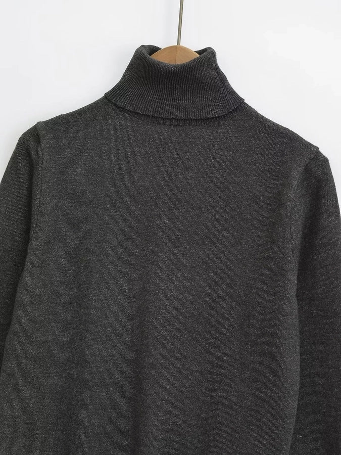 Women's Sweater Long Sleeve Sweaters & Cardigans Vacation Simple Style Solid Color