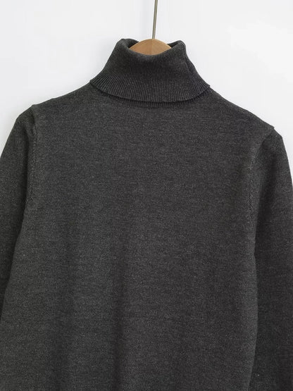 Women's Sweater Long Sleeve Sweaters & Cardigans Vacation Simple Style Solid Color