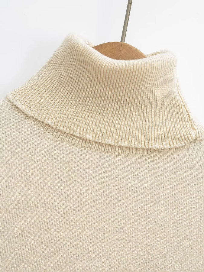 Women's Sweater Long Sleeve Sweaters & Cardigans Vacation Simple Style Solid Color