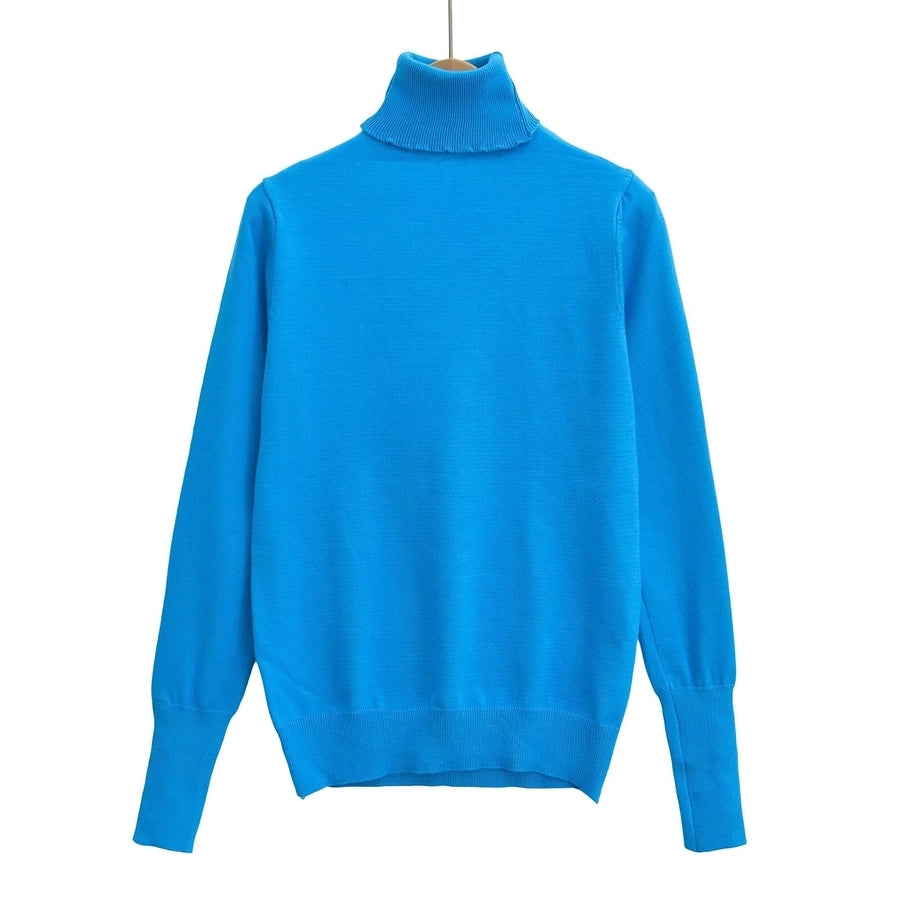 Women's Sweater Long Sleeve Sweaters & Cardigans Vacation Simple Style Solid Color