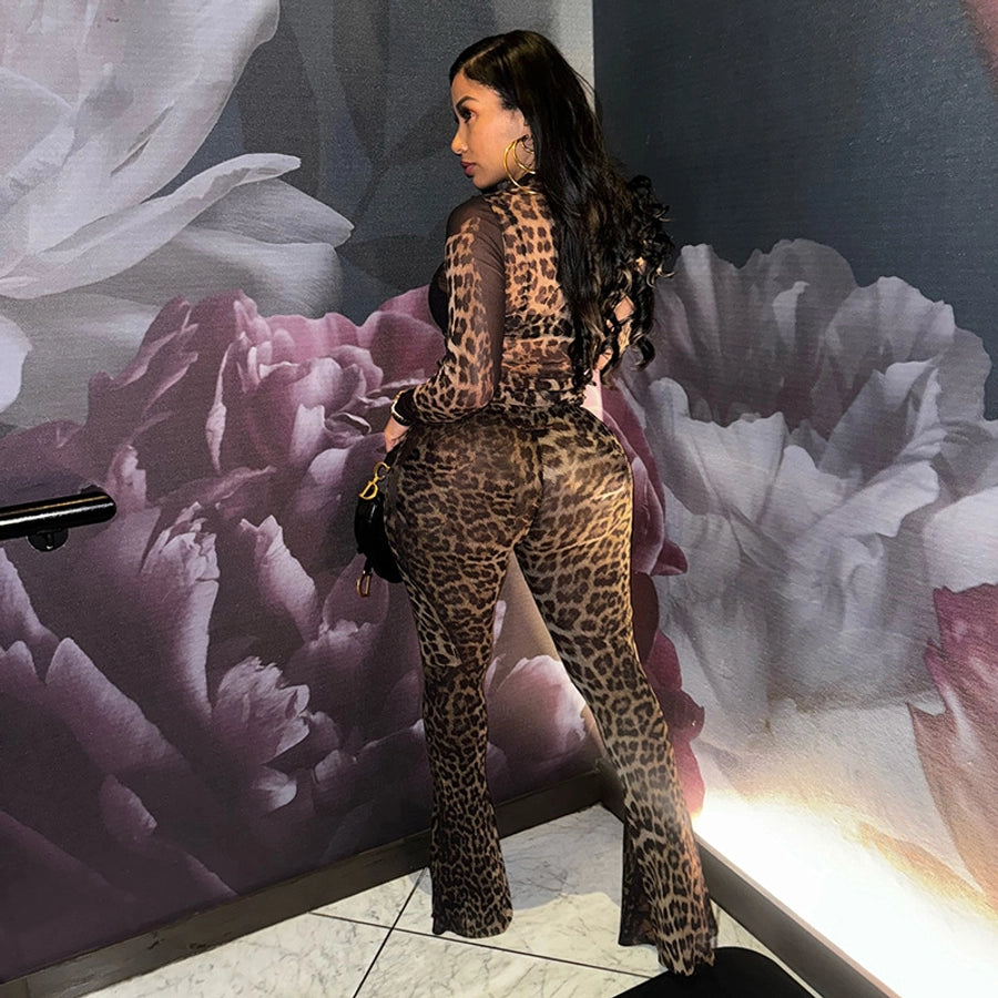 Daily Women's Streetwear Leopard Spandex Polyester Pants Sets Pants Sets