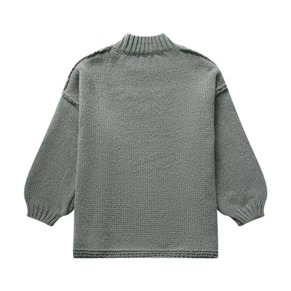 Women's Sweater Long Sleeve Sweaters & Cardigans Elegant Simple Style Solid Color
