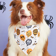 Color Seven