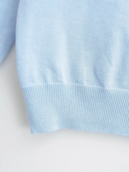 Women's Sweater Long Sleeve Sweaters & Cardigans Vacation Simple Style Solid Color