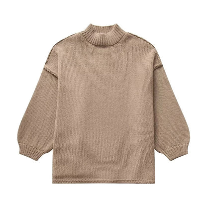 Women's Sweater Long Sleeve Sweaters & Cardigans Elegant Simple Style Solid Color
