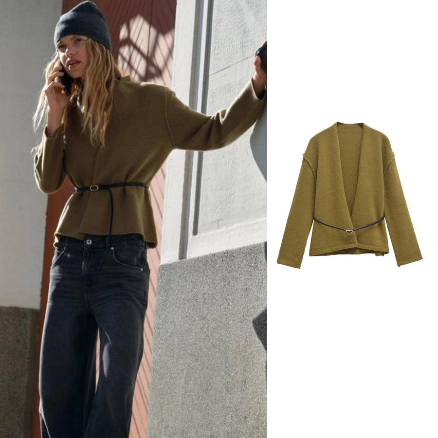 Women's Sweater Long Sleeve Sweaters & Cardigans Vacation Simple Style Solid Color