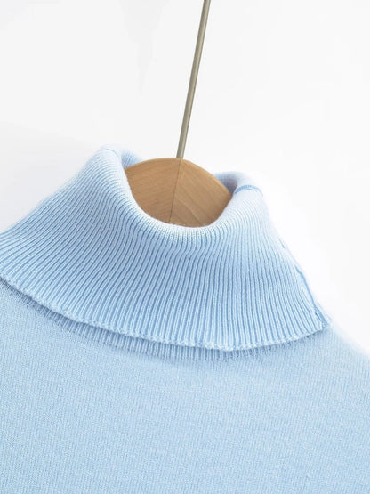 Women's Sweater Long Sleeve Sweaters & Cardigans Vacation Simple Style Solid Color
