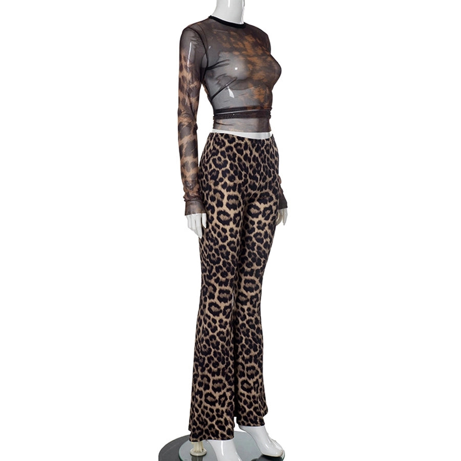Daily Women's Streetwear Leopard Spandex Polyester Pants Sets Pants Sets