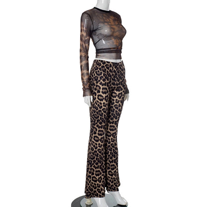 Daily Women's Streetwear Leopard Spandex Polyester Pants Sets Pants Sets