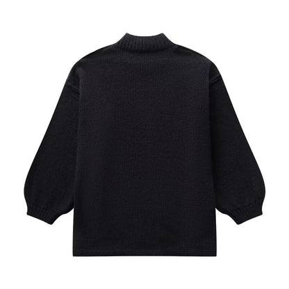 Women's Sweater Long Sleeve Sweaters & Cardigans Elegant Simple Style Solid Color