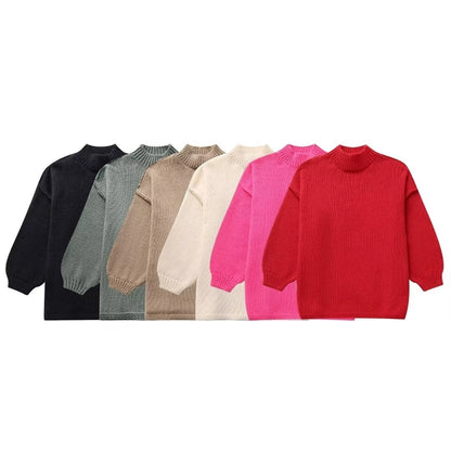 Women's Sweater Long Sleeve Sweaters & Cardigans Elegant Simple Style Solid Color