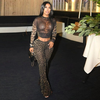 Daily Women's Streetwear Leopard Spandex Polyester Pants Sets Pants Sets