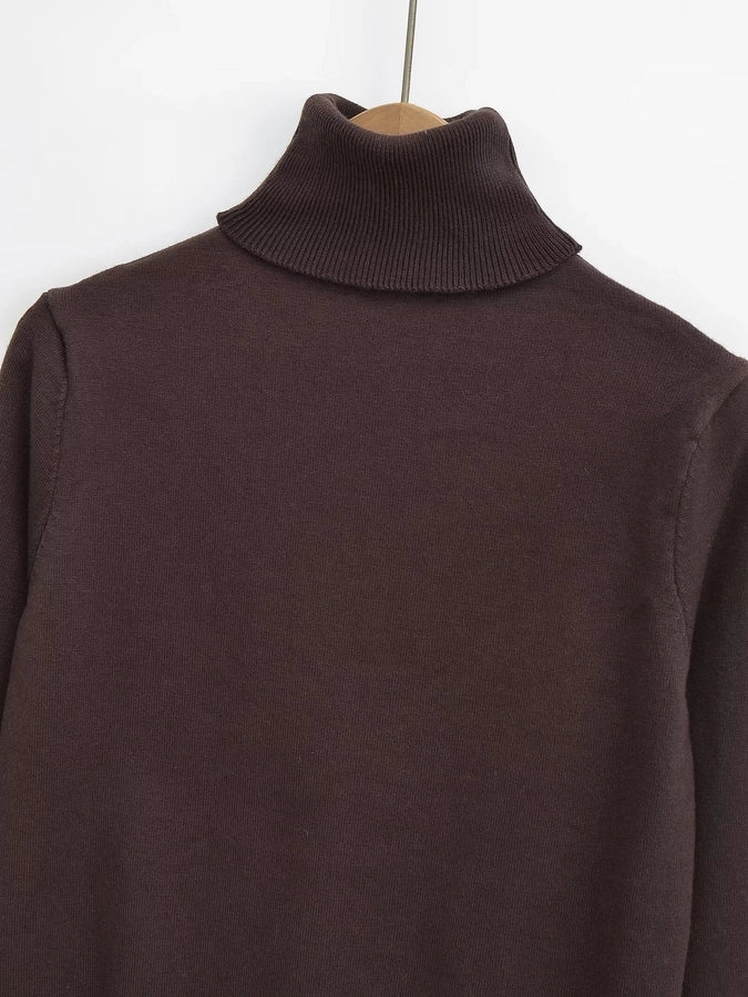 Women's Sweater Long Sleeve Sweaters & Cardigans Vacation Simple Style Solid Color