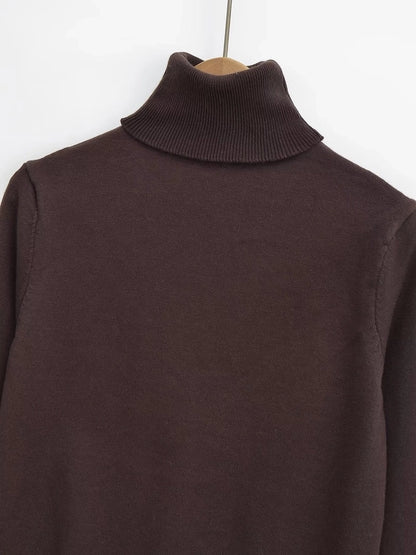 Women's Sweater Long Sleeve Sweaters & Cardigans Vacation Simple Style Solid Color