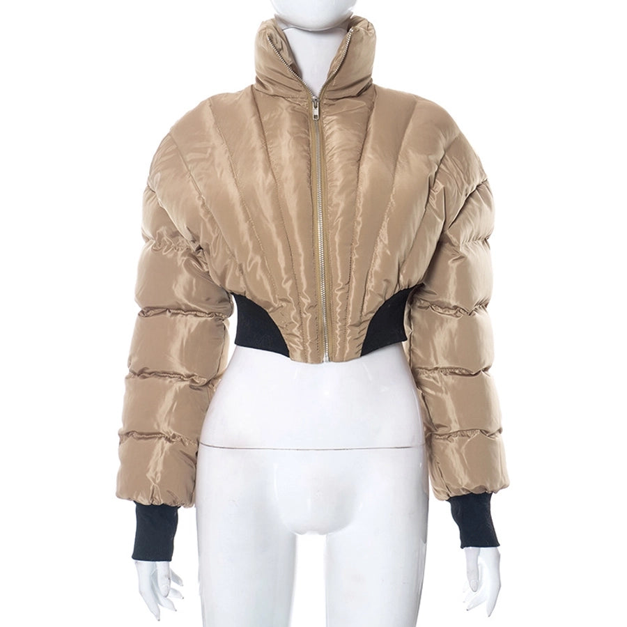 Women's Streetwear Solid Color Zipper Coat