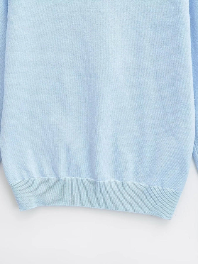 Women's Sweater Long Sleeve Sweaters & Cardigans Vacation Simple Style Solid Color