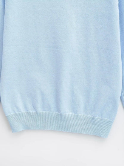 Women's Sweater Long Sleeve Sweaters & Cardigans Vacation Simple Style Solid Color