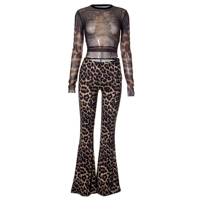 Daily Women's Streetwear Leopard Spandex Polyester Pants Sets Pants Sets