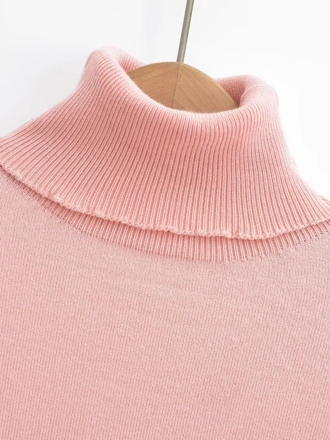 Women's Sweater Long Sleeve Sweaters & Cardigans Vacation Simple Style Solid Color
