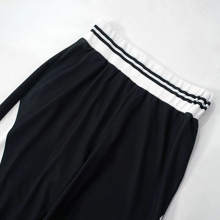 Daily Women's Streetwear Color Block Spandex Polyester Twilled Satin Pants Sets Pants Sets