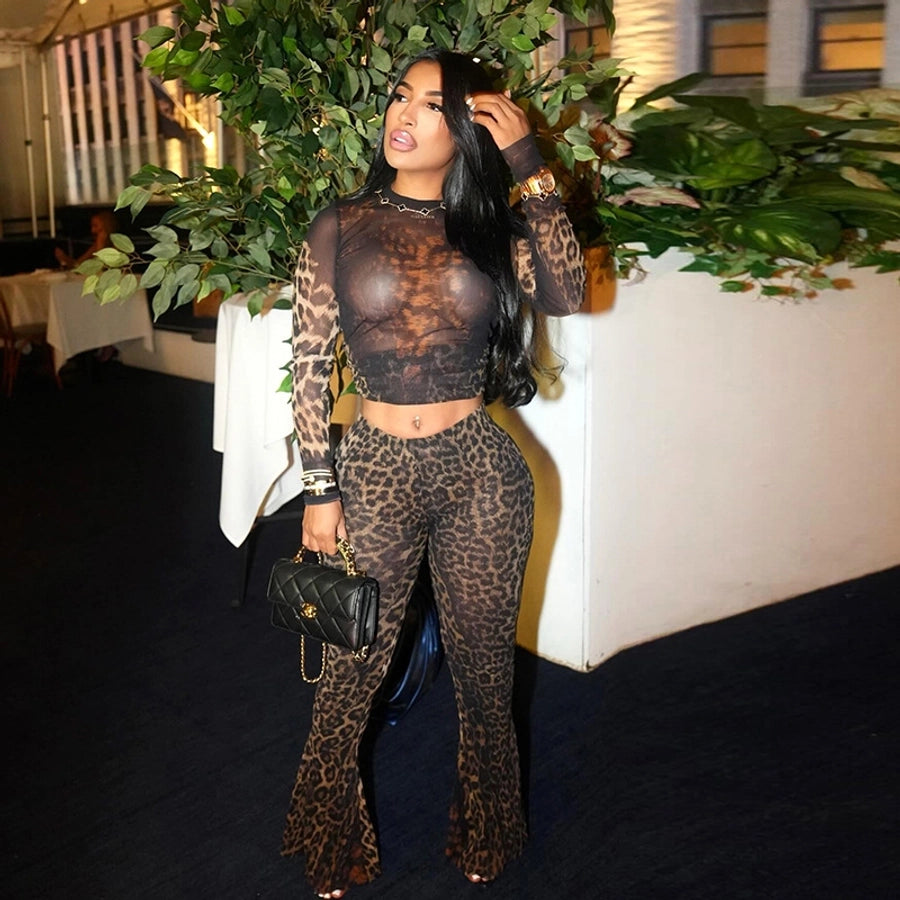 Daily Women's Streetwear Leopard Spandex Polyester Pants Sets Pants Sets