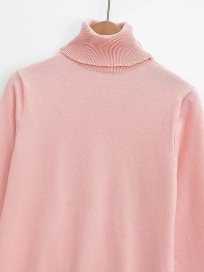 Women's Sweater Long Sleeve Sweaters & Cardigans Vacation Simple Style Solid Color