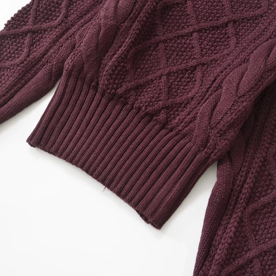 Women's Sweater Long Sleeve Sweaters & Cardigans Simple Style Solid Color
