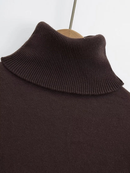 Women's Sweater Long Sleeve Sweaters & Cardigans Vacation Simple Style Solid Color