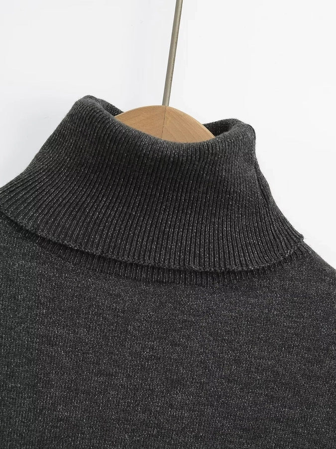 Women's Sweater Long Sleeve Sweaters & Cardigans Vacation Simple Style Solid Color