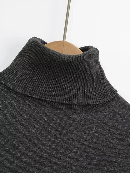 Women's Sweater Long Sleeve Sweaters & Cardigans Vacation Simple Style Solid Color