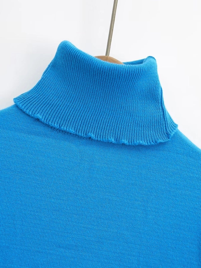 Women's Sweater Long Sleeve Sweaters & Cardigans Vacation Simple Style Solid Color