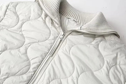 Women's Simple Style Classic Style Solid Color Zipper Coat cotton clothes