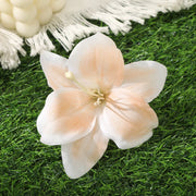 12cm Cymbidium Lily (with Leaves) Barrettes Orange-One