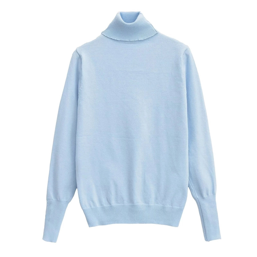 Women's Sweater Long Sleeve Sweaters & Cardigans Vacation Simple Style Solid Color