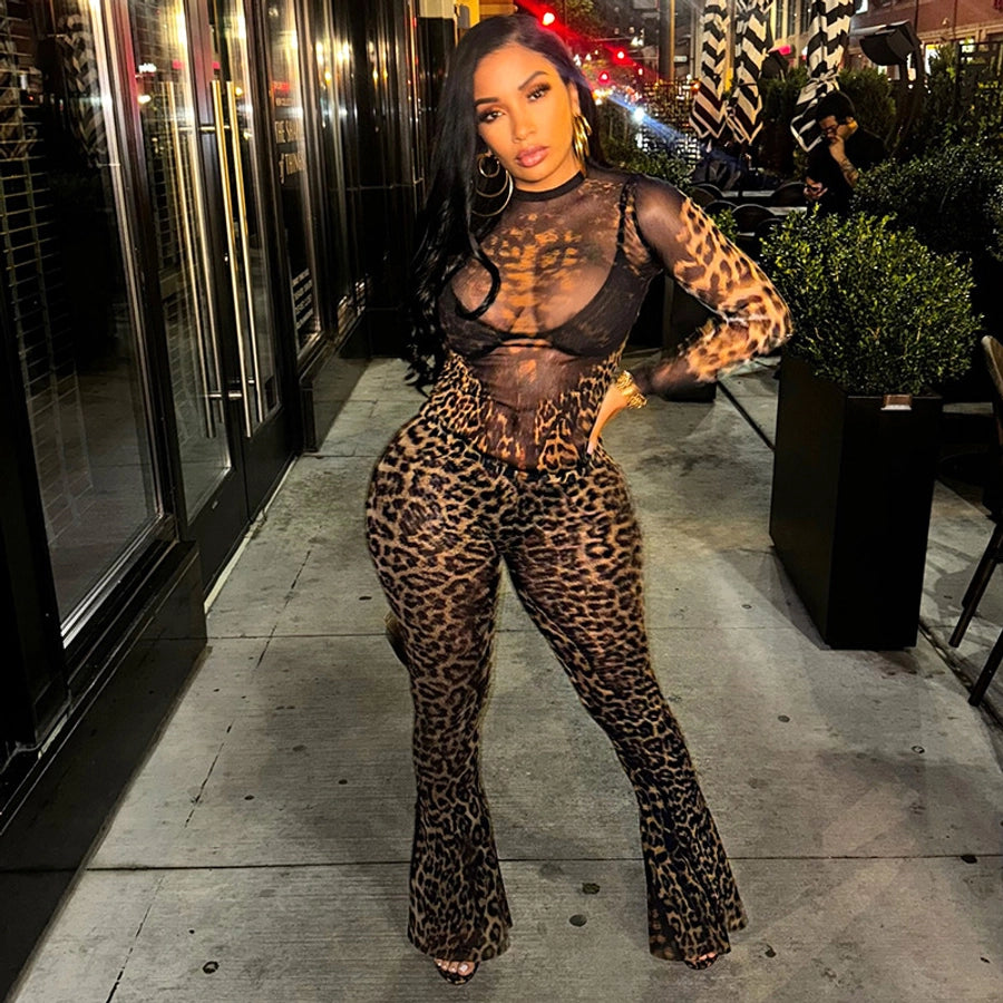 Daily Women's Streetwear Leopard Spandex Polyester Pants Sets Pants Sets