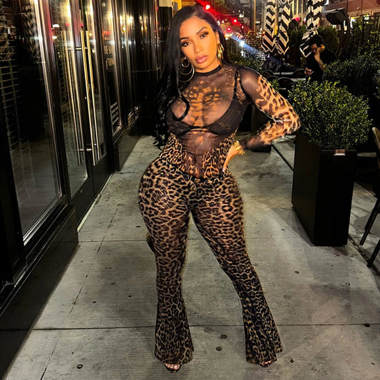 Daily Women's Streetwear Leopard Spandex Polyester Pants Sets Pants Sets
