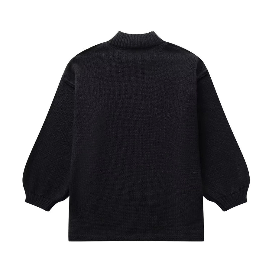 Women's Sweater Long Sleeve Sweaters & Cardigans Elegant Simple Style Solid Color
