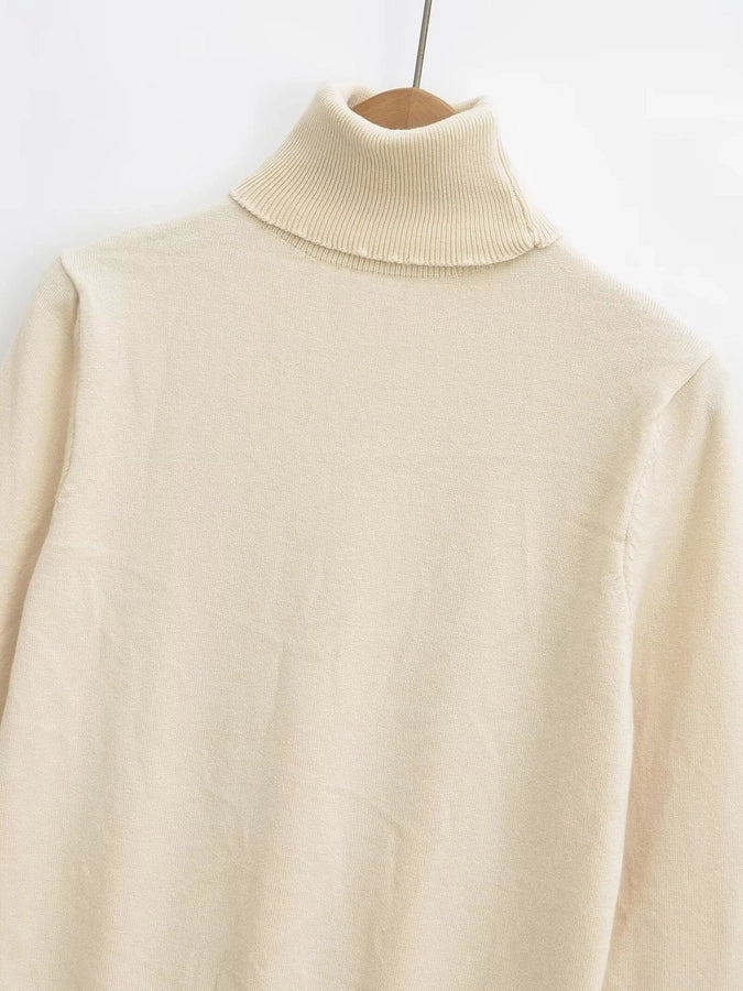 Women's Sweater Long Sleeve Sweaters & Cardigans Vacation Simple Style Solid Color
