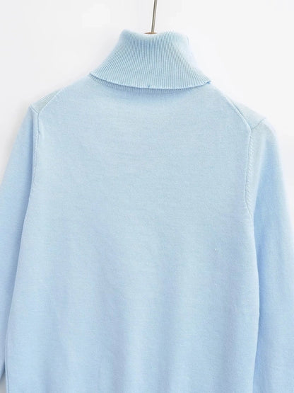 Women's Sweater Long Sleeve Sweaters & Cardigans Vacation Simple Style Solid Color