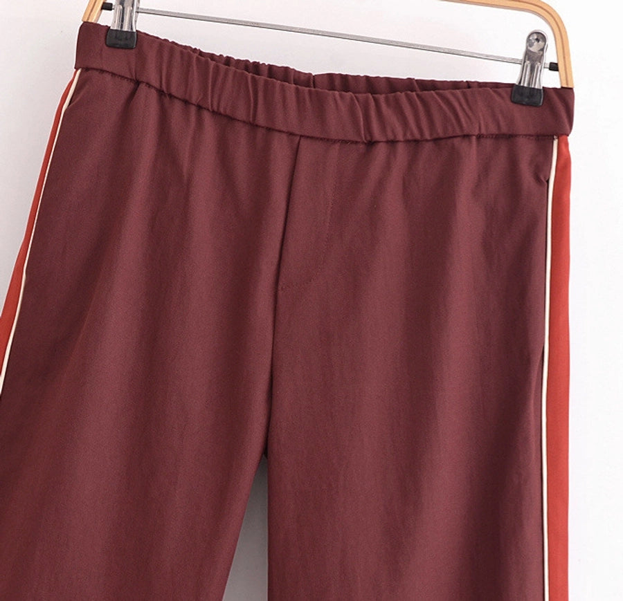Daily Women's Casual Stripe Spandex Polyester Zipper Pants Sets Pants Sets