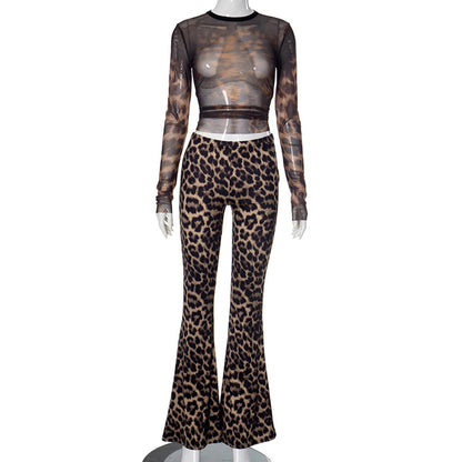 Daily Women's Streetwear Leopard Spandex Polyester Pants Sets Pants Sets