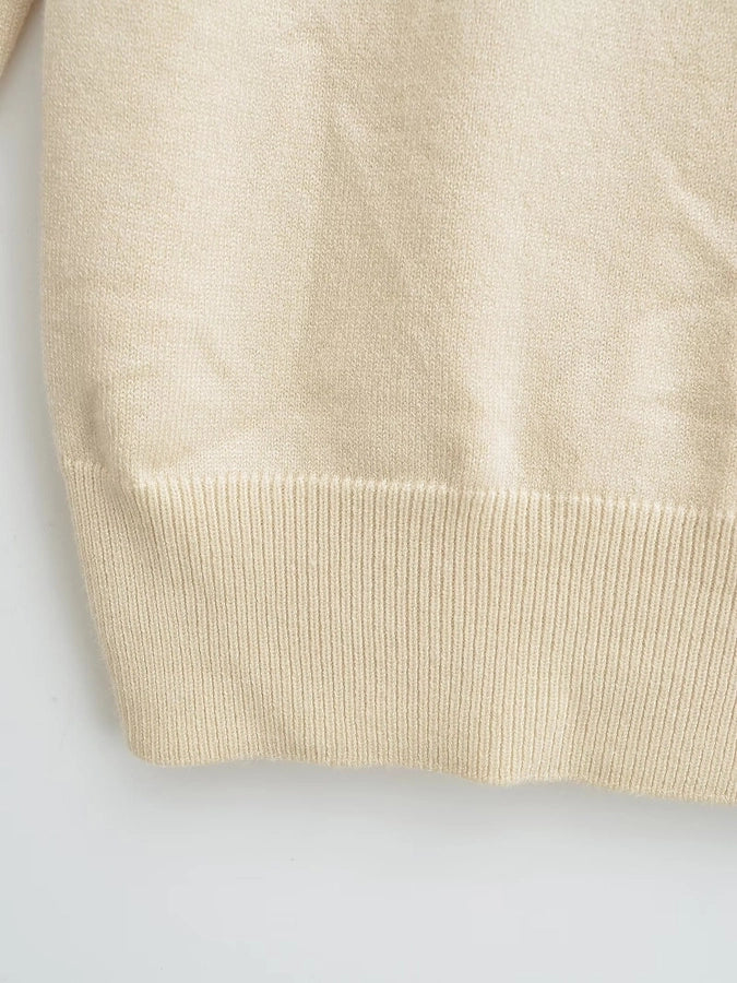 Women's Sweater Long Sleeve Sweaters & Cardigans Vacation Simple Style Solid Color