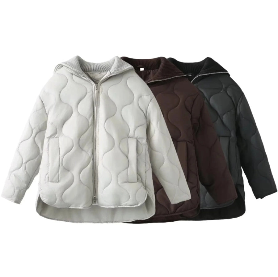 Women's Simple Style Classic Style Solid Color Zipper Coat cotton clothes