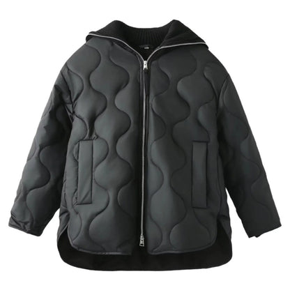 Women's Simple Style Classic Style Solid Color Zipper Coat cotton clothes